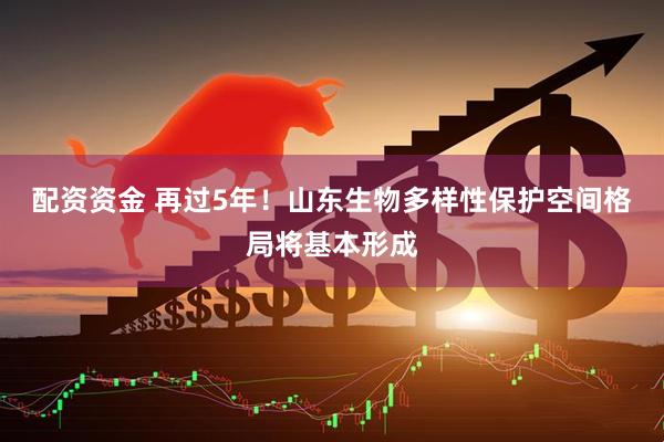 配资资金 再过5年！山东生物多样性保护空间格局将基本形成