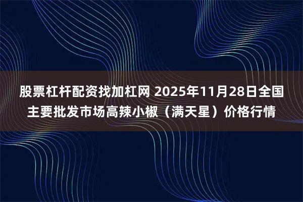 股票杠杆配资找加杠网 2025年11月28日全国主要批发市场高辣小椒（满天星）价格行情