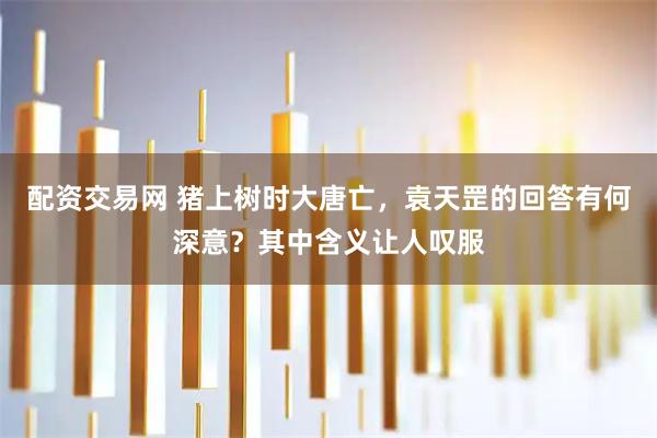 配资交易网 猪上树时大唐亡，袁天罡的回答有何深意？其中含义让人叹服