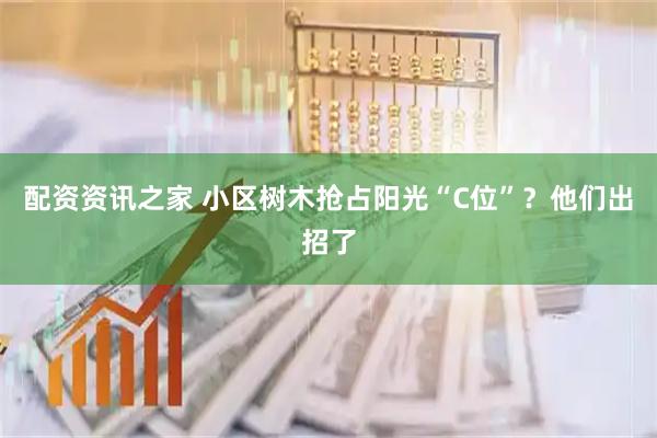 配资资讯之家 小区树木抢占阳光“C位”？他们出招了